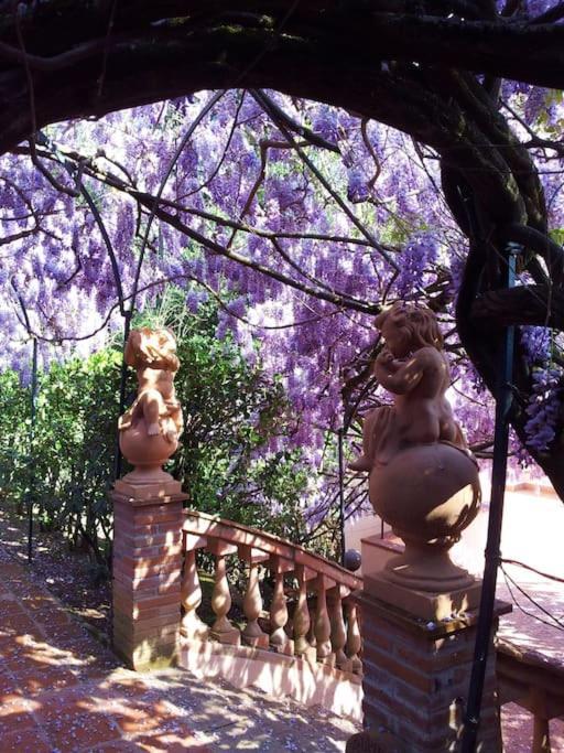 Casa Victor Riu Villa Piera Dış mekan fotoğraf